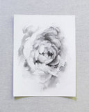 Black & White Peonies no.1 | 8x10