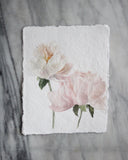 Peony no.8 | 8x10