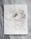 Fall Flower no. 5 | 11x14