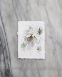 Garden Rose no.2 | 5x7
