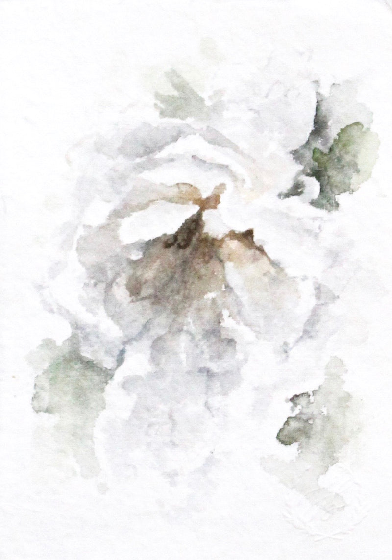 Garden Rose no.2 | 5x7