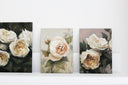 Ivory Garden Roses no.3 | 5x7"