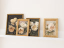 Ivory Garden Roses no.2 | 6x8"
