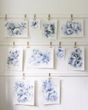 Blue Peonies no.15 | 9x12