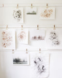Black & White Peonies no.1 | 8x10
