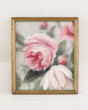Pink Garden Roses no.4 | 6x8"