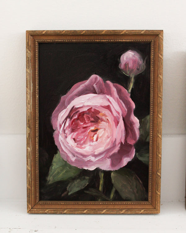 Pink Garden Rose no.5 | 5x7"