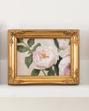 Ivory Garden Rose no.4 | 5x7"