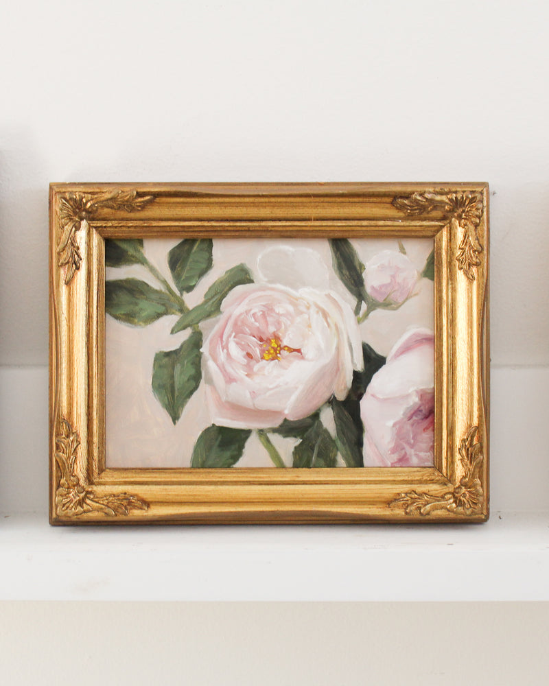 Ivory Garden Rose no.4 | 5x7"