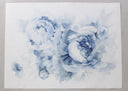 Blue Peonies no.20 | 22x30