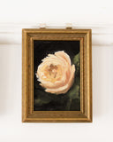 Butter Yellow Garden Rose | 4.5x6.5"
