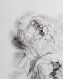 Black & White Peonies no.3 | 13x19