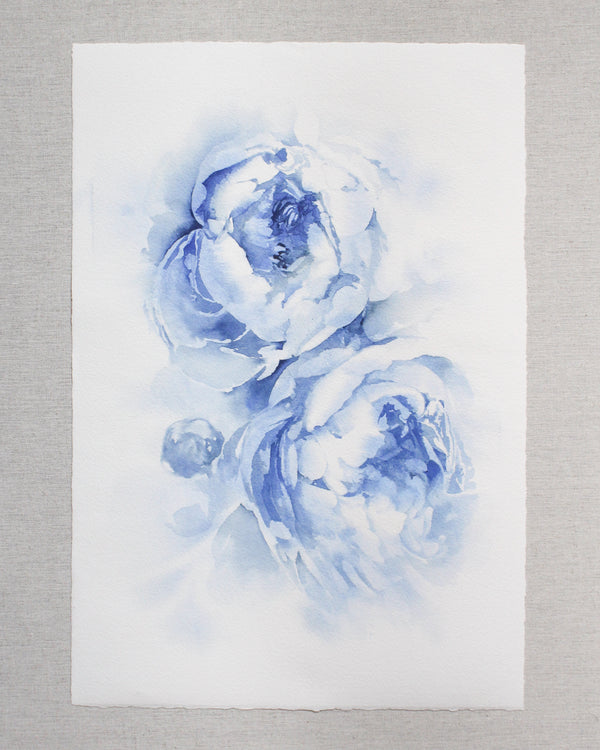 Blue Peonies no.19 | 13x19