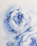 Blue Peonies no.19 | 13x19