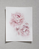 Blush Peonies no.2 | 11x14