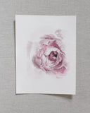 Blush Peonies no.1 | 8x10
