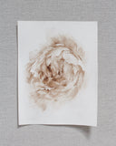 Sepia Peonies no.1 | 8x10