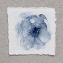 Blue Peonies no.3 | 5x5