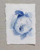 Blue Peonies no.6 | 5x7