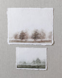 Evergreen Mist | 5x7