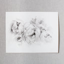 Black & White Peonies no.4 | 11x14