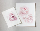 Blush Peonies no.1 | 8x10