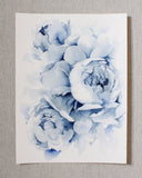 Blue Peonies no.15 | 9x12