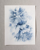 Blue Peonies no.17 | Watercolor on Paper | 11x14"