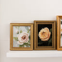 Butter Yellow Garden Rose | 4.5x6.5"
