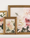 Creamy Peach Roses | 4.5x6.5"