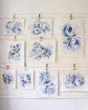 Blue Peonies no.10 | 8x10