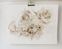 Sepia Peonies no.2 | 8x10