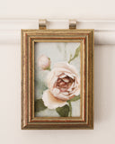 Ivory Garden Rose no.2 | 3.5x5"