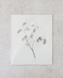 Branch Study | 8x10"