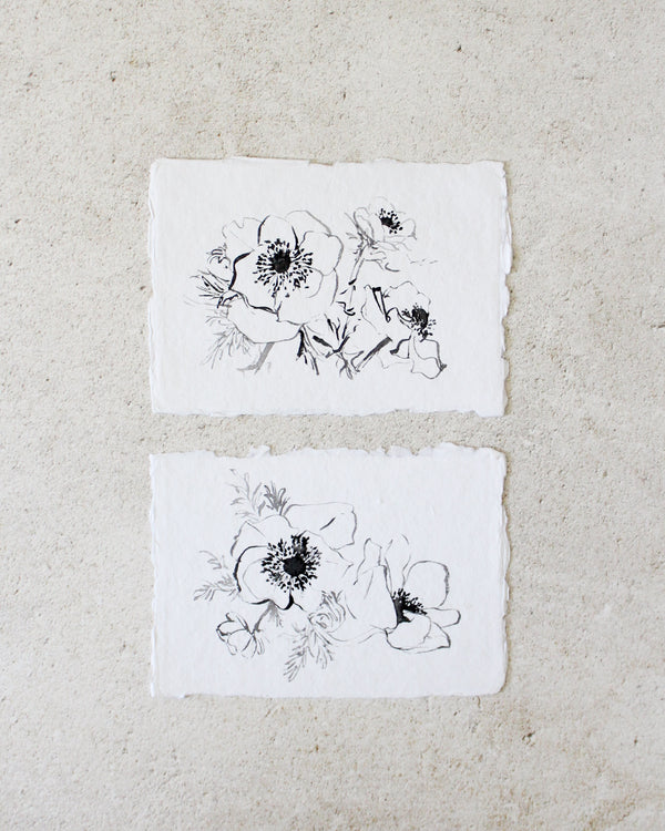 Set of 2: Black & White Anemone Sketches | 5x7"