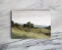 Overcast | 5x7