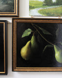 Pear Study no.7 | 11x14