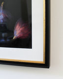 Three Figs Art Print