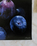 Fig Study no.2 Print