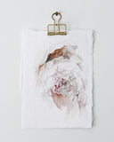 Peony no.16 | 5x7