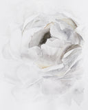 Fall Flower no. 5 | 11x14