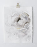 Fall Flower no. 5 | 11x14