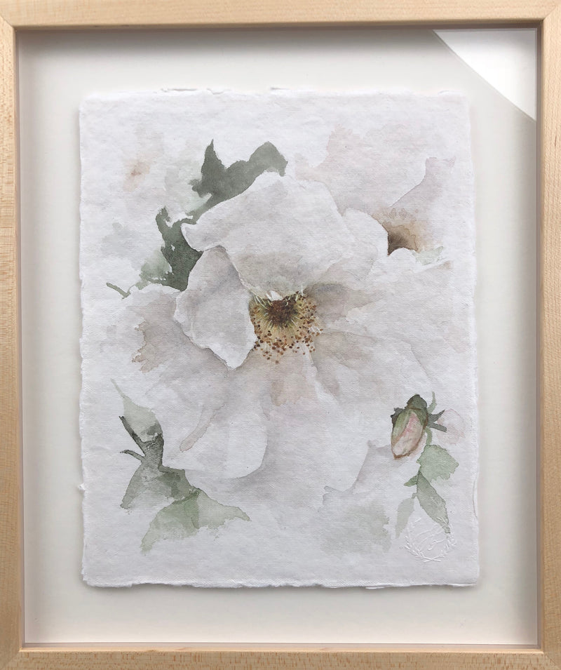 Garden Rose no.12 | 8x10