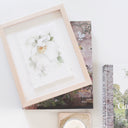 Garden Rose no.11 | Watercolor on Paper | 5x7"