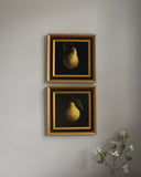 Pear Study no.10 | 7x7
