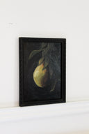 Waxing Pear | 5x7