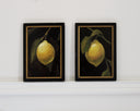 Citrus Kiss II | 4x6