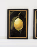 Citrus Kiss I | 4x6