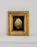 Lemon Drop I | 2.5x3.5