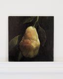Honey | 6x6